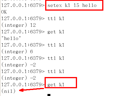 image-20210225155229059