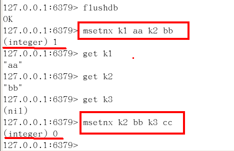 image-20210225155329622