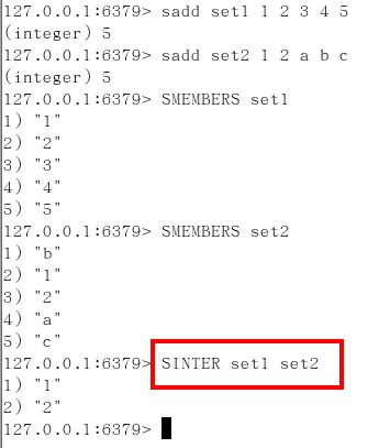 image-20210225155956565