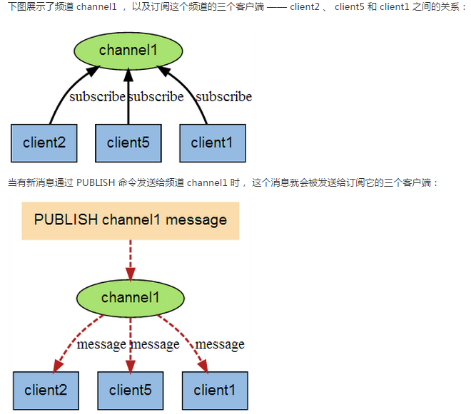 image-20210226121941504