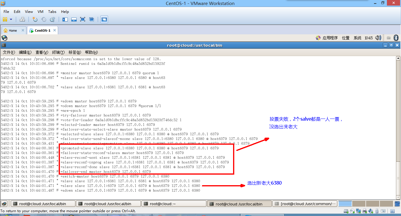 image-20210226145531093