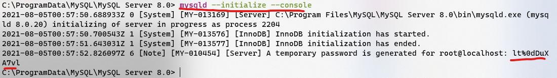 image-20240611143428046