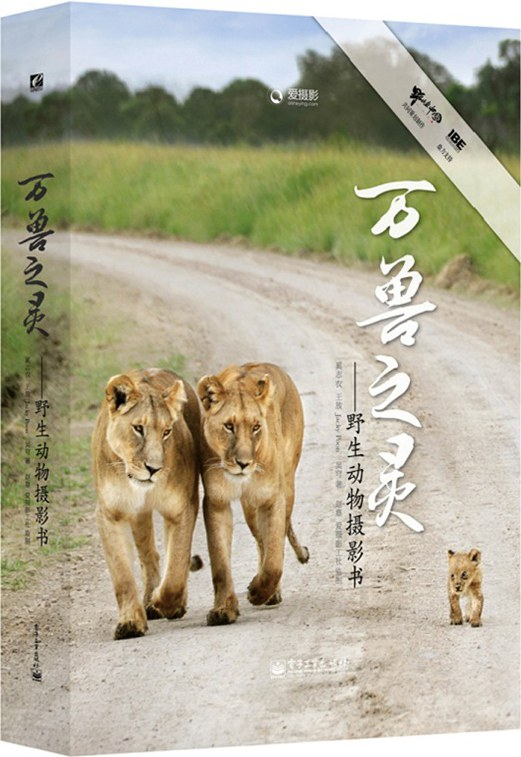 万兽之灵：野生动物摄影书