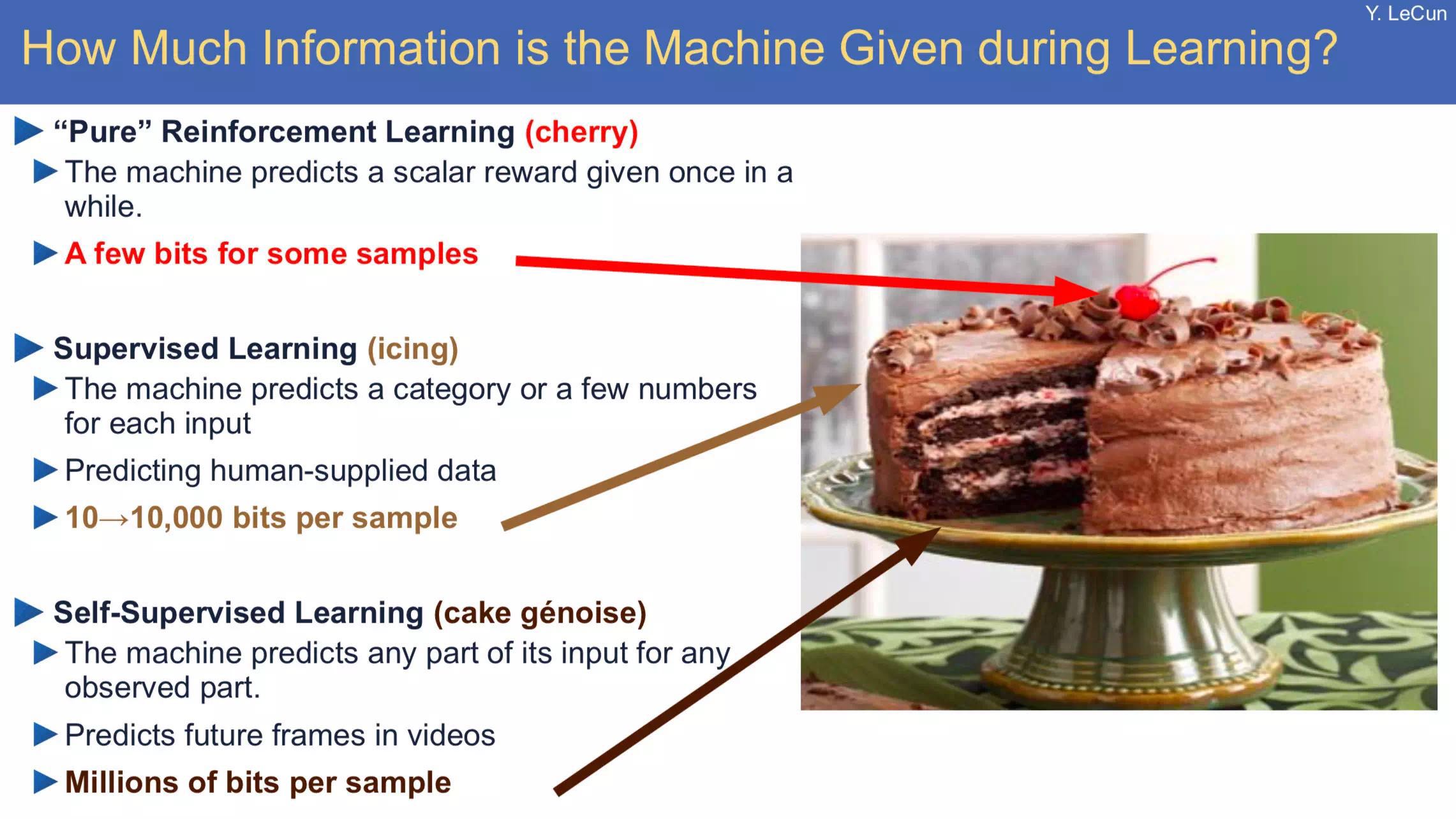 new AI cake