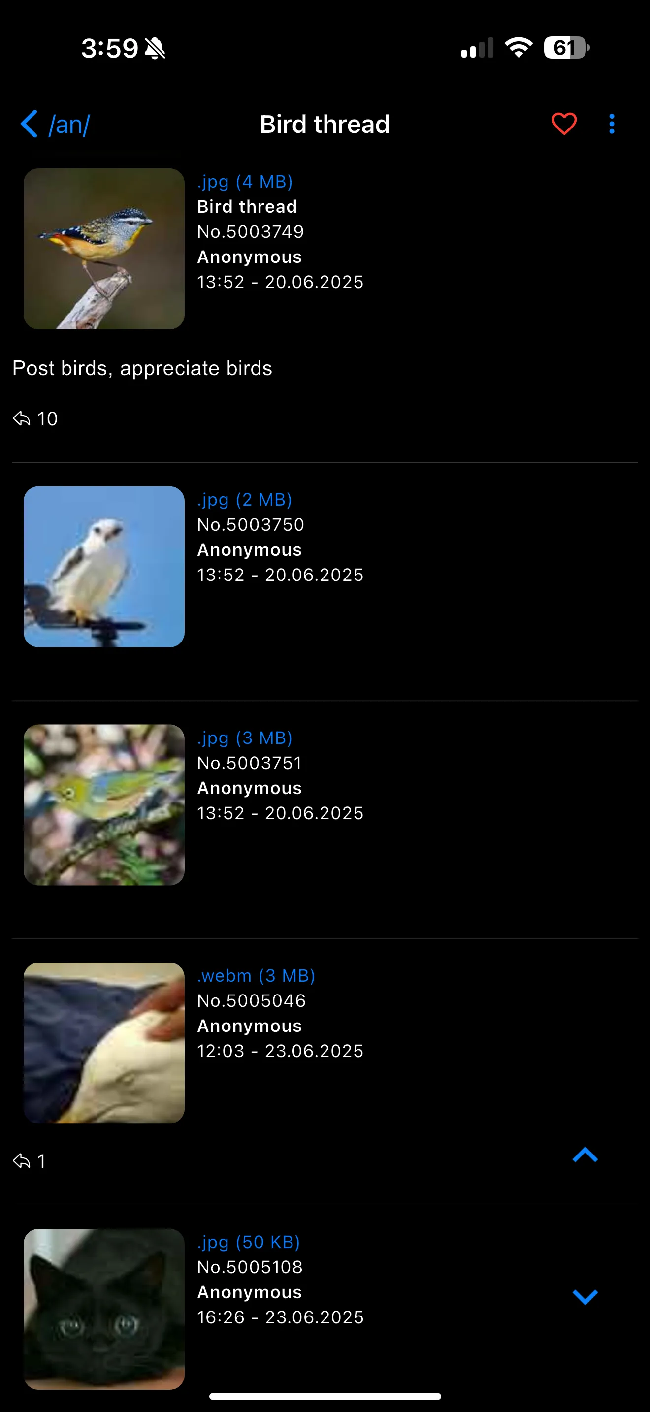 NekoSurf screenshot 3