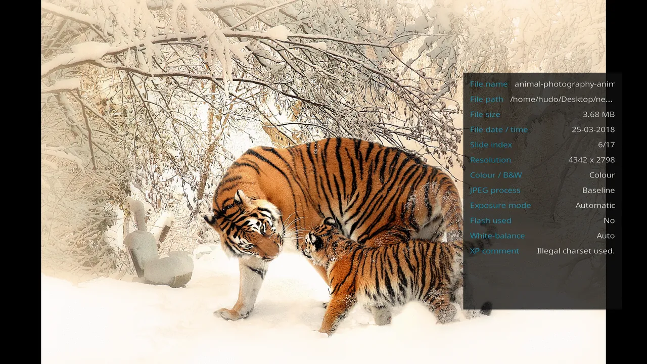 Screenshot 5 of Kodi