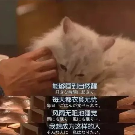 马克图布
