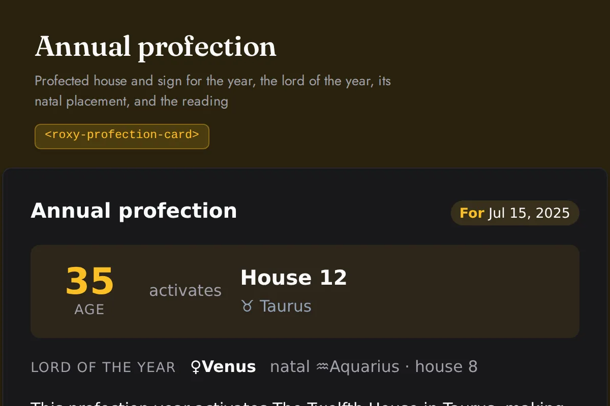 Profection card: Profected house and sign for the year, the lord of the year, its natal placement, and the reading