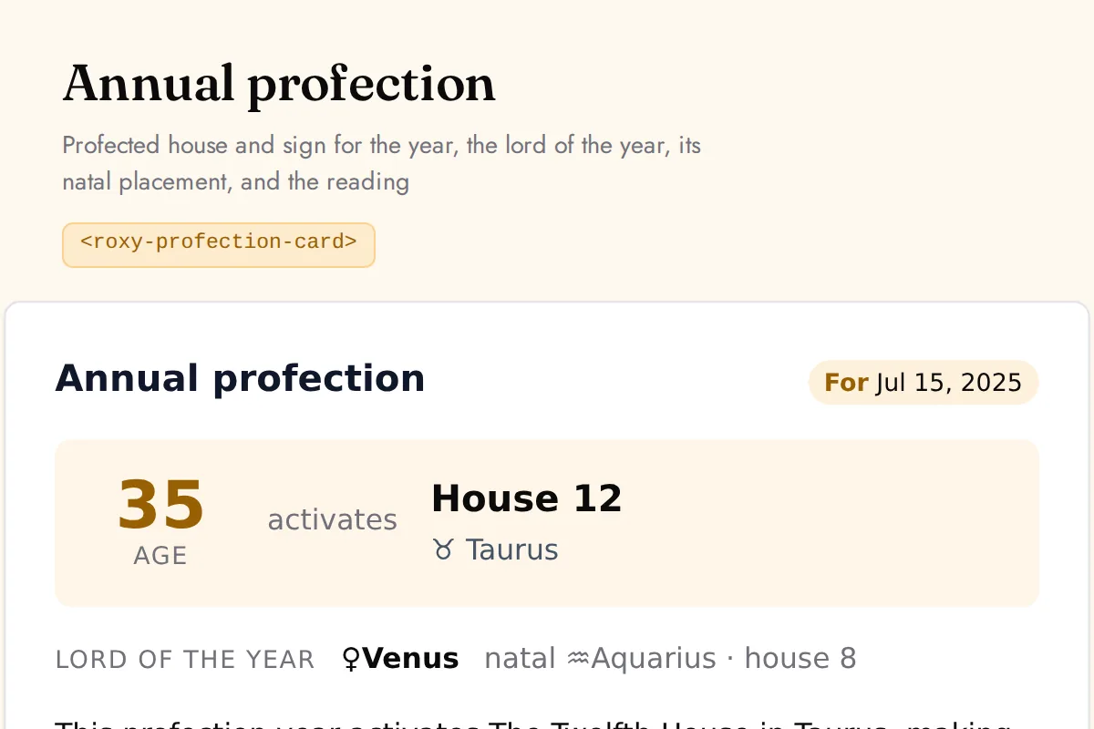 Profection card: Profected house and sign for the year, the lord of the year, its natal placement, and the reading