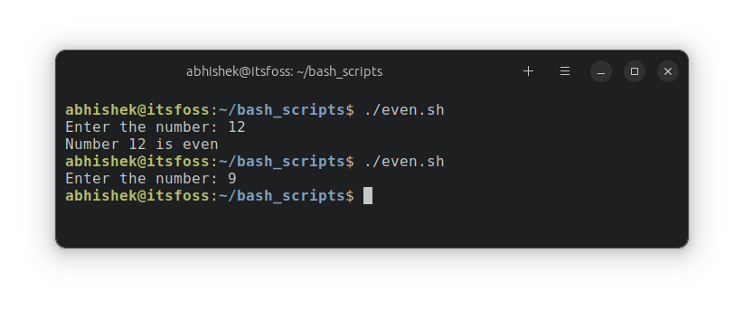 Running a script with if statement example in bash