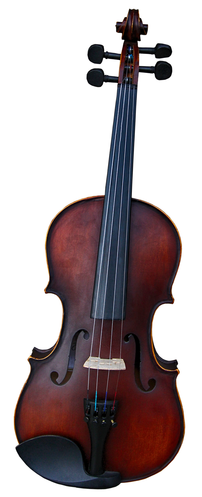 violin2