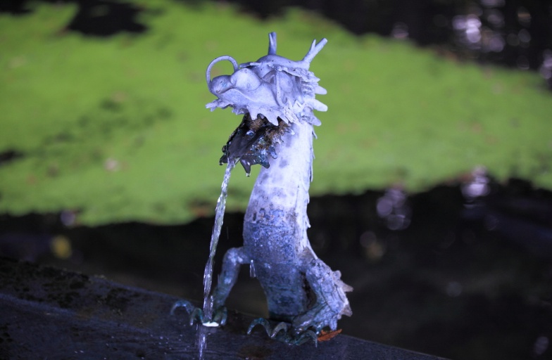 Add sunglasses - before