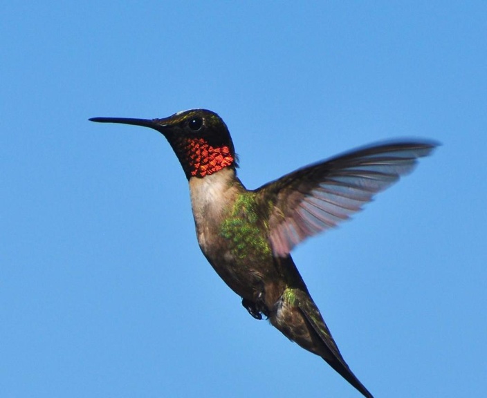 Add sunglasses - before