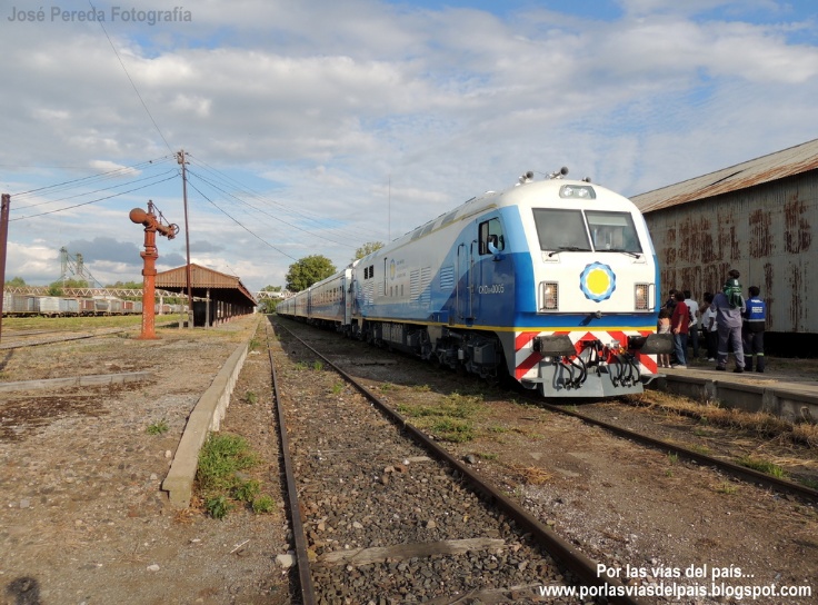 Add sunglasses - before