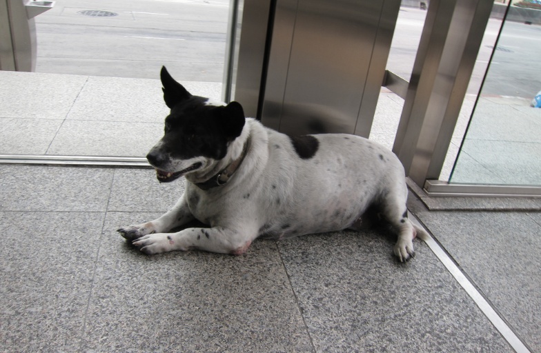 Add sunglasses - before