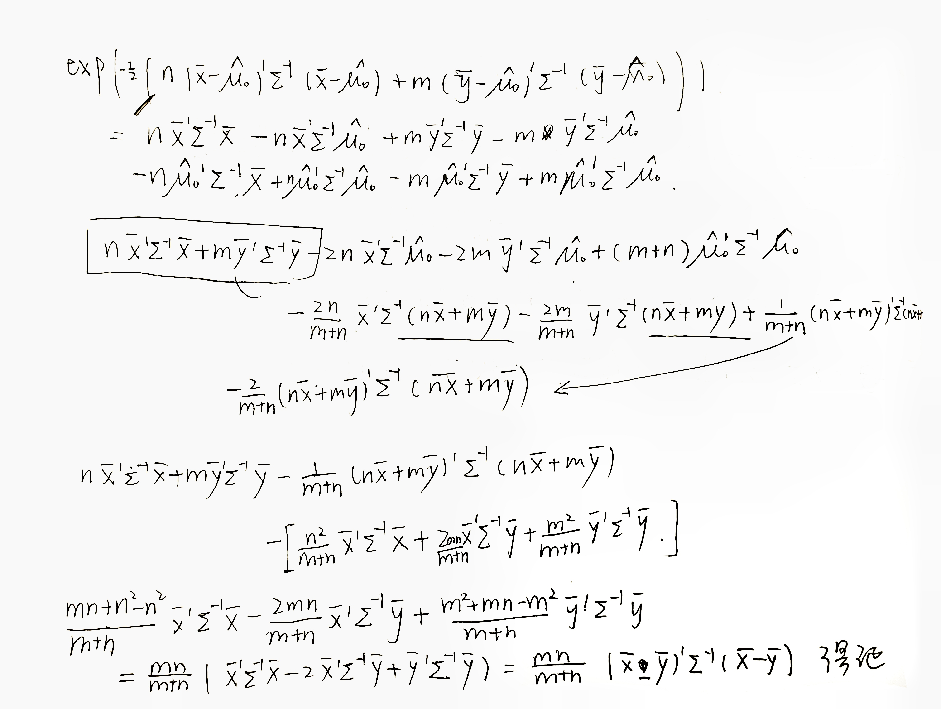 image-20241210134445146