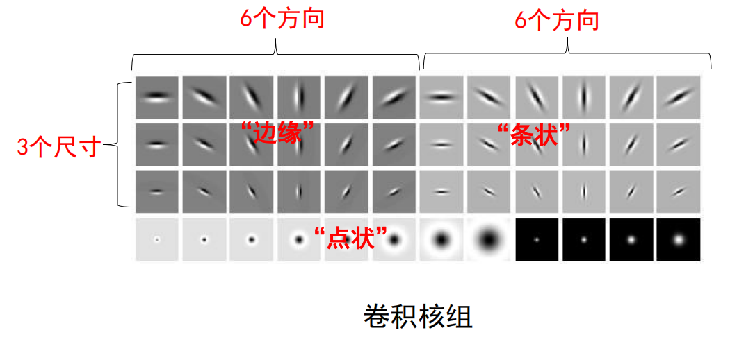 CN-D-2-1