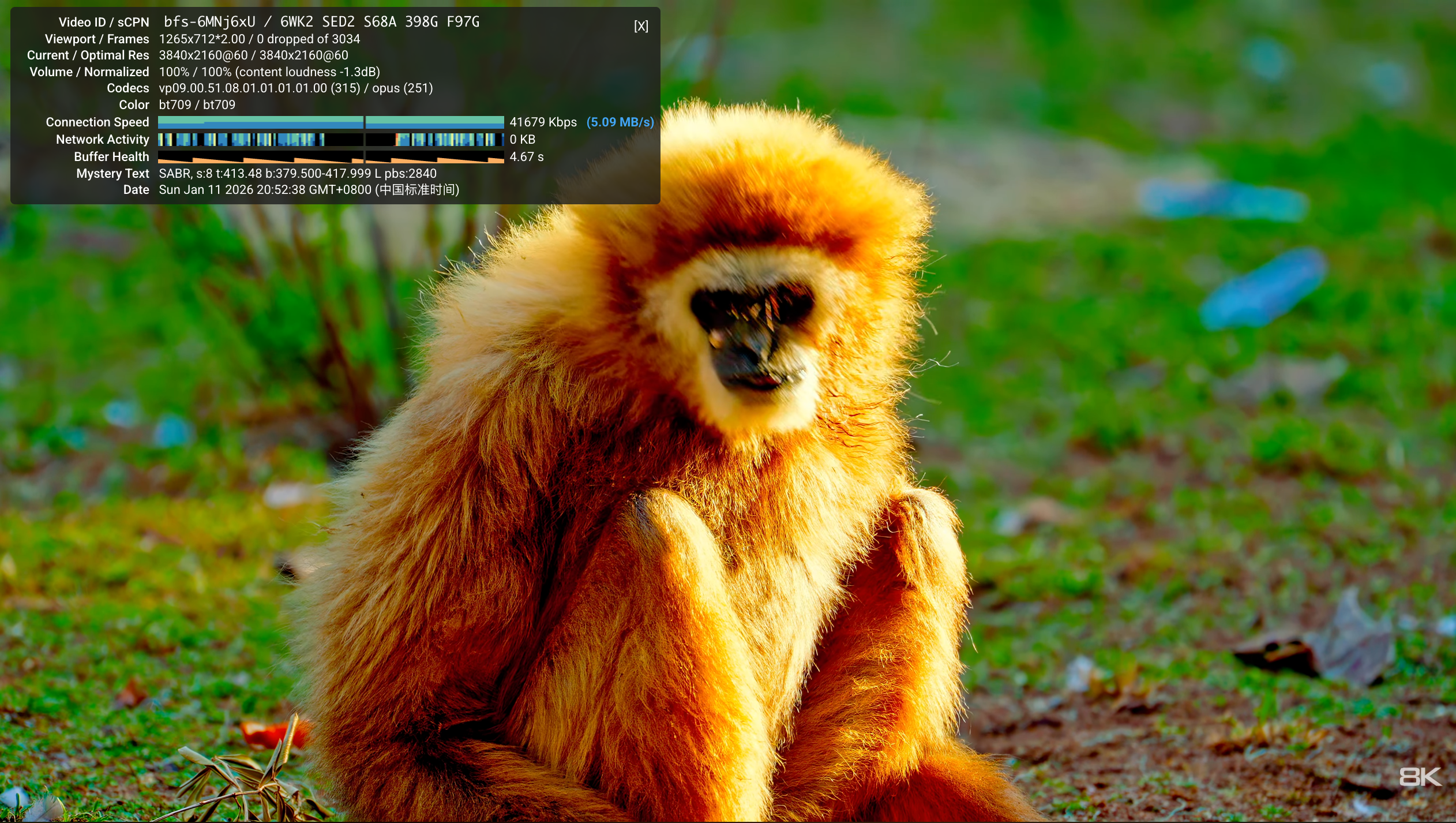 image-20260111205354125