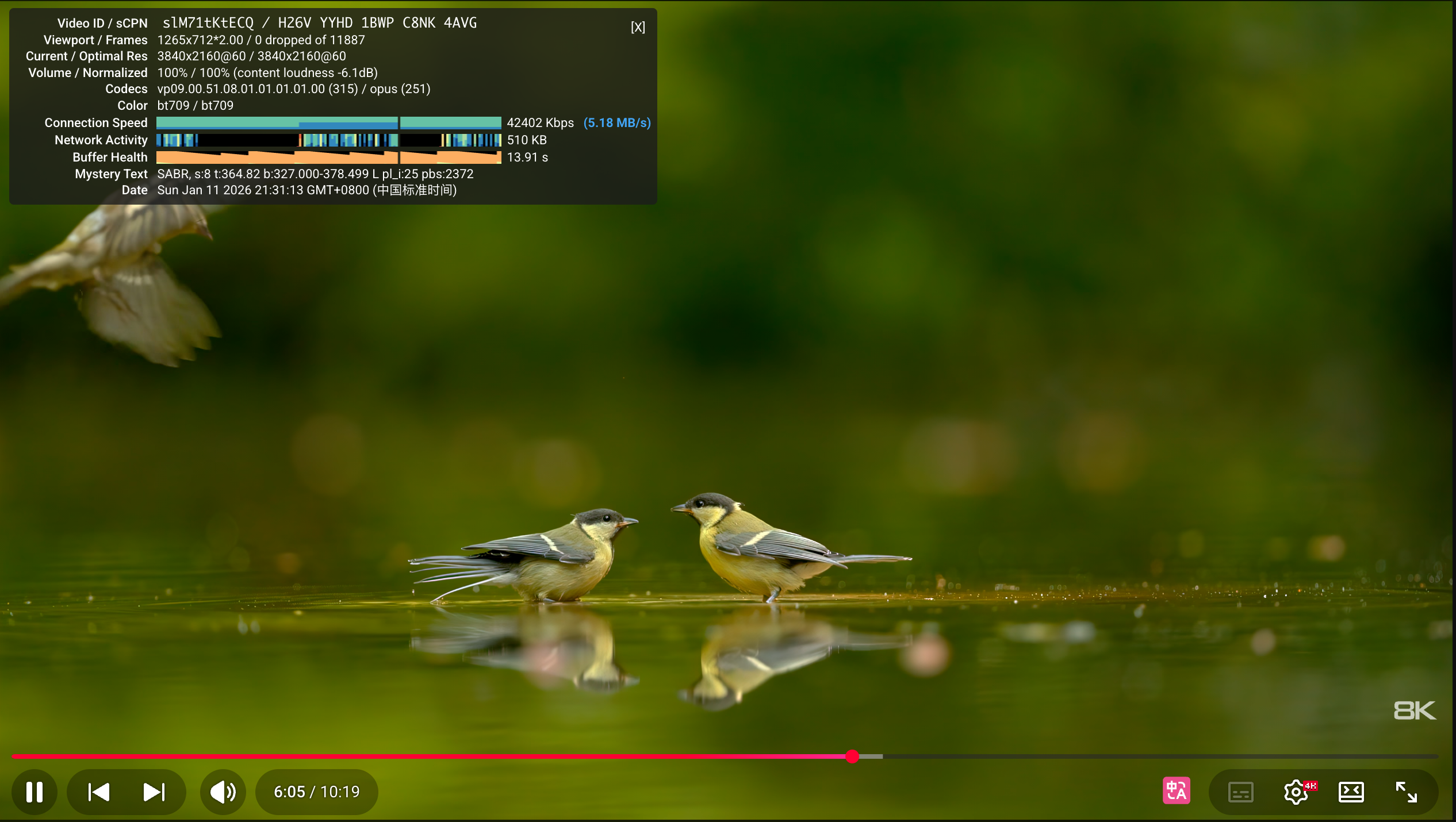 image-20260111213124908