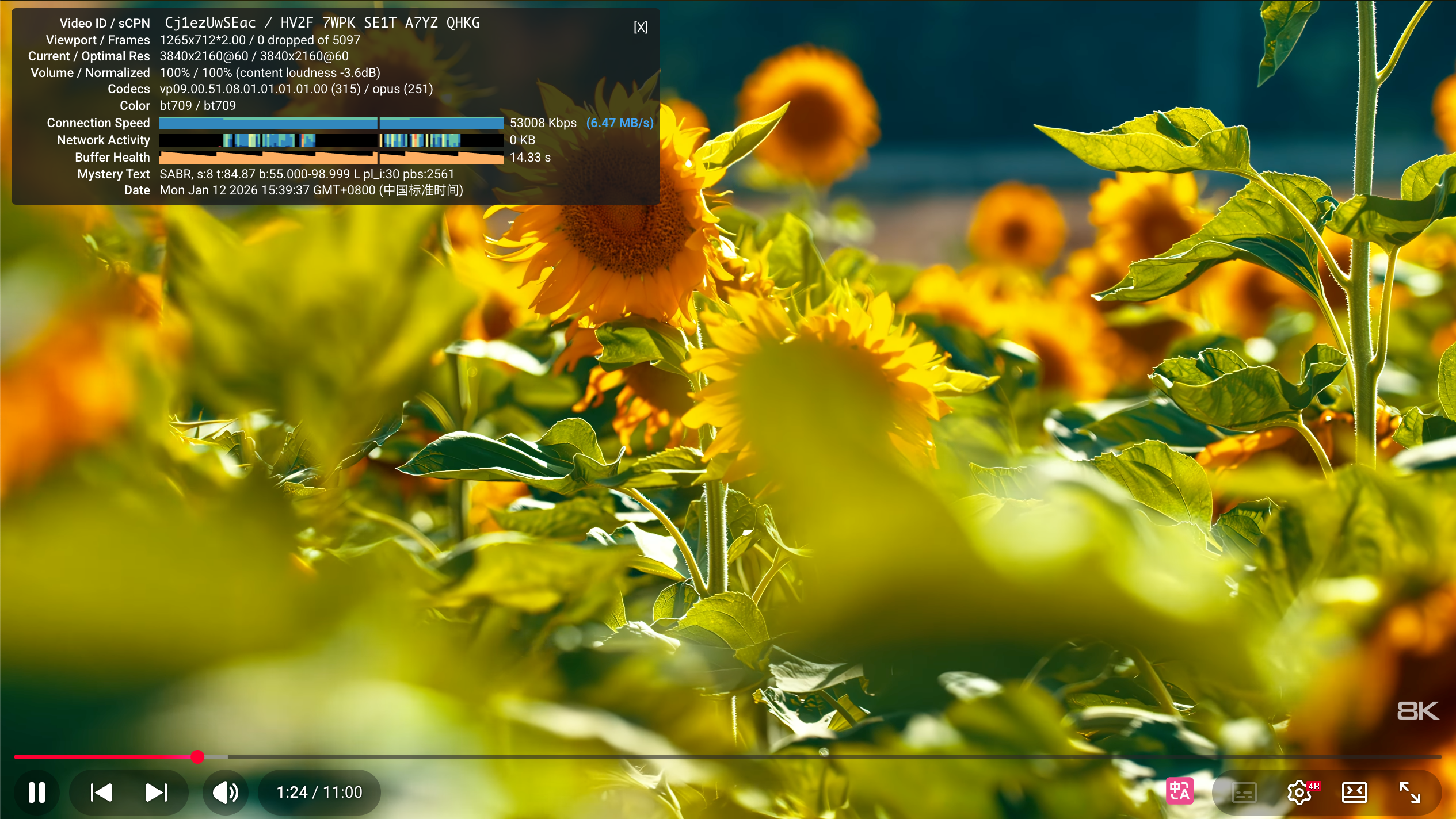 image-20260112153951748