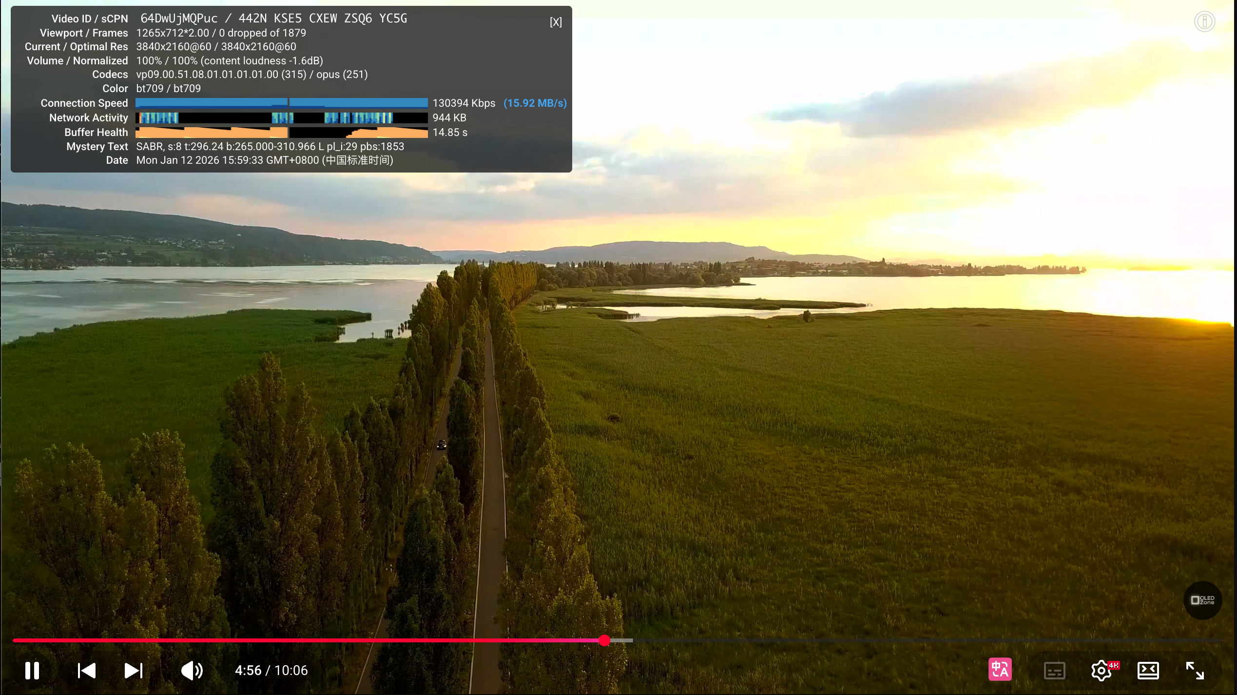 image-20260112155944790