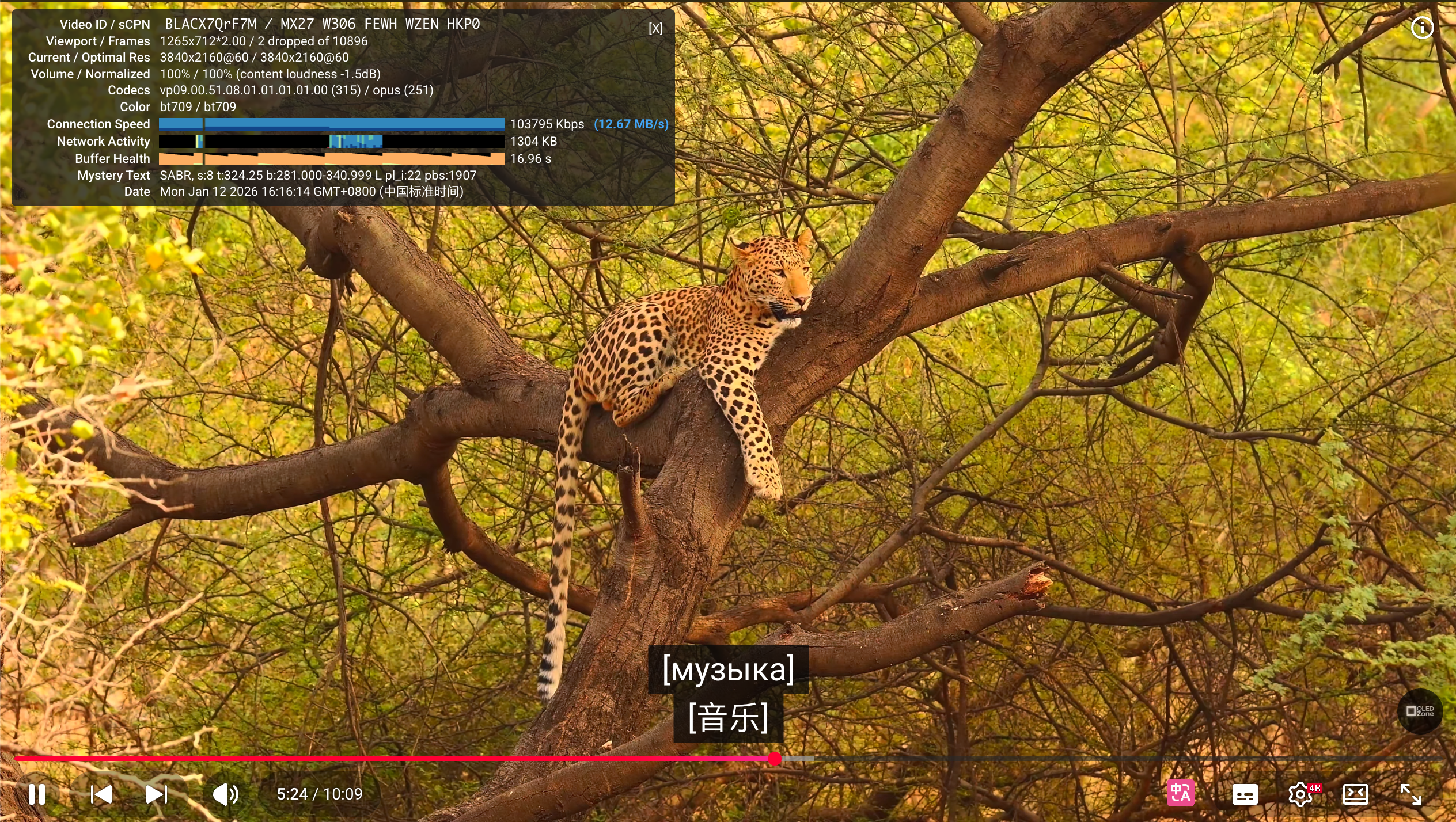 image-20260112161627089