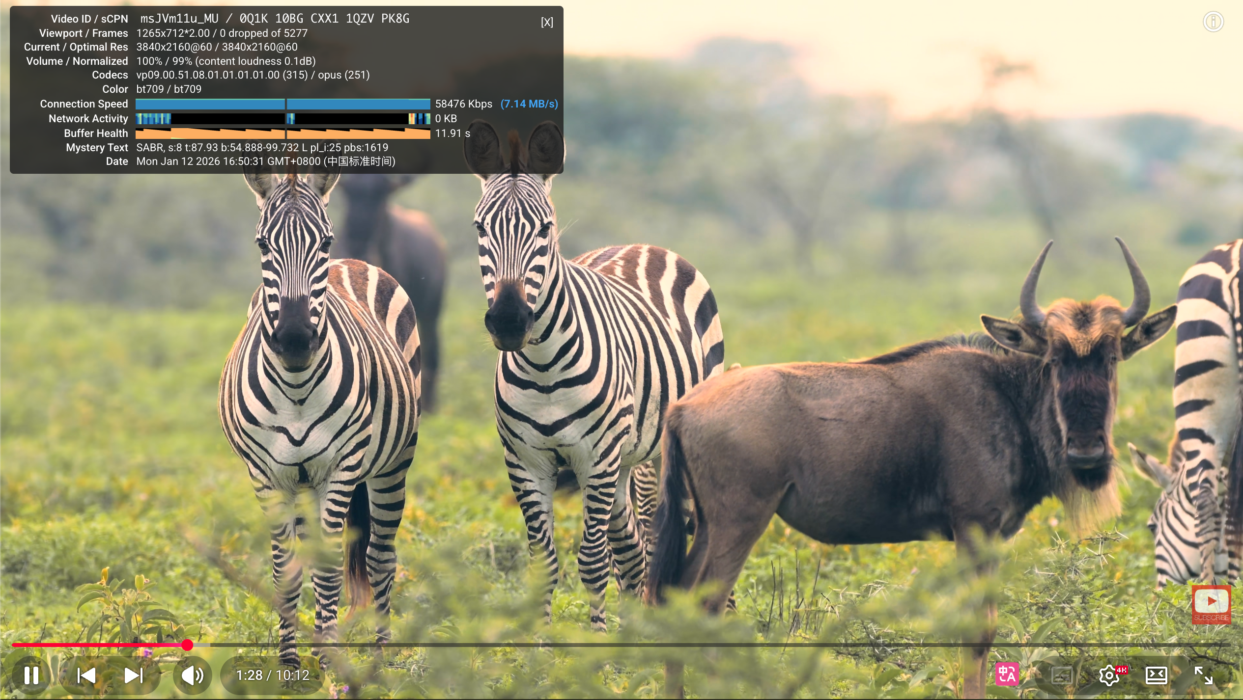 image-20260112165045584