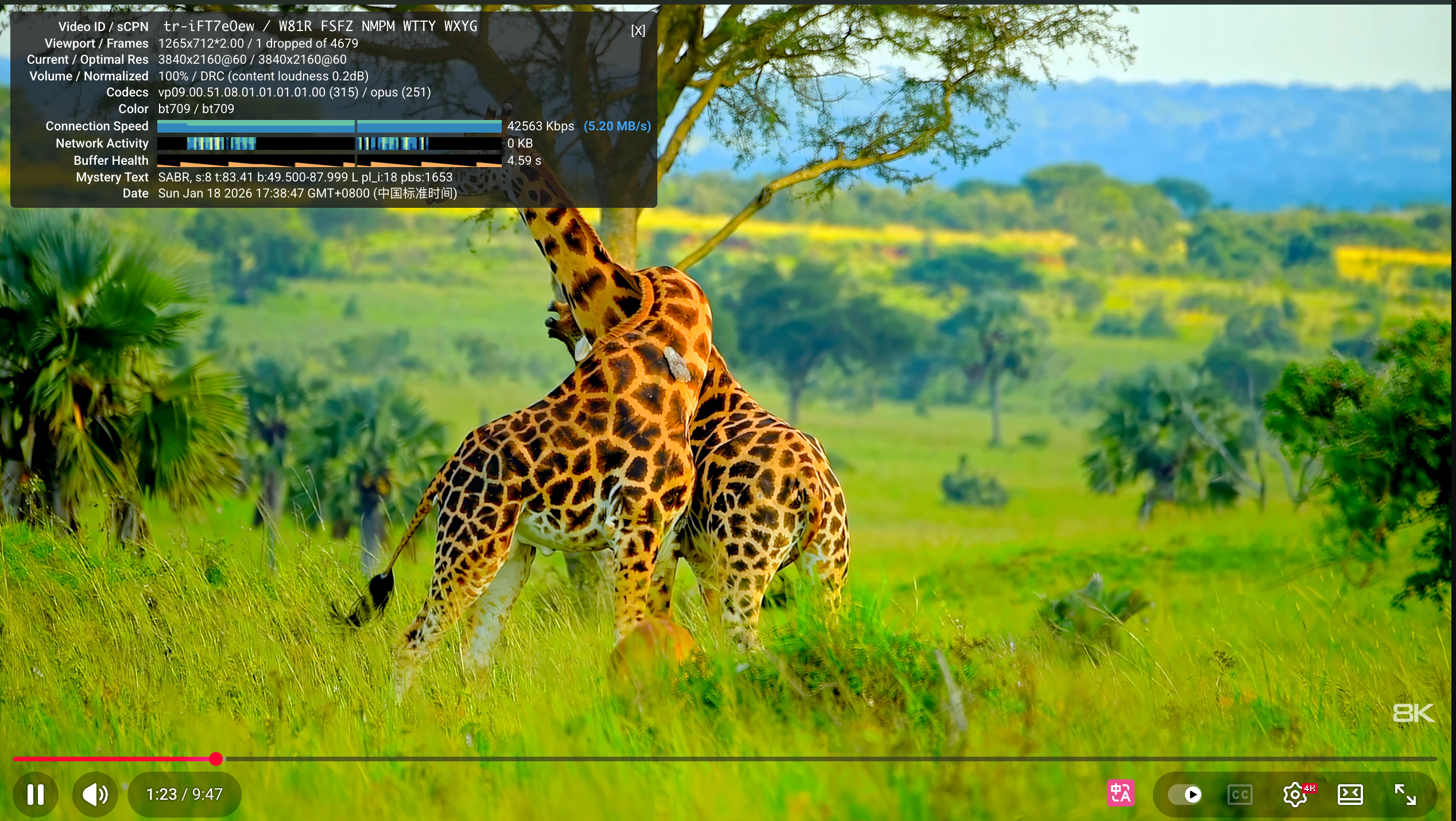 image-20260118173903077