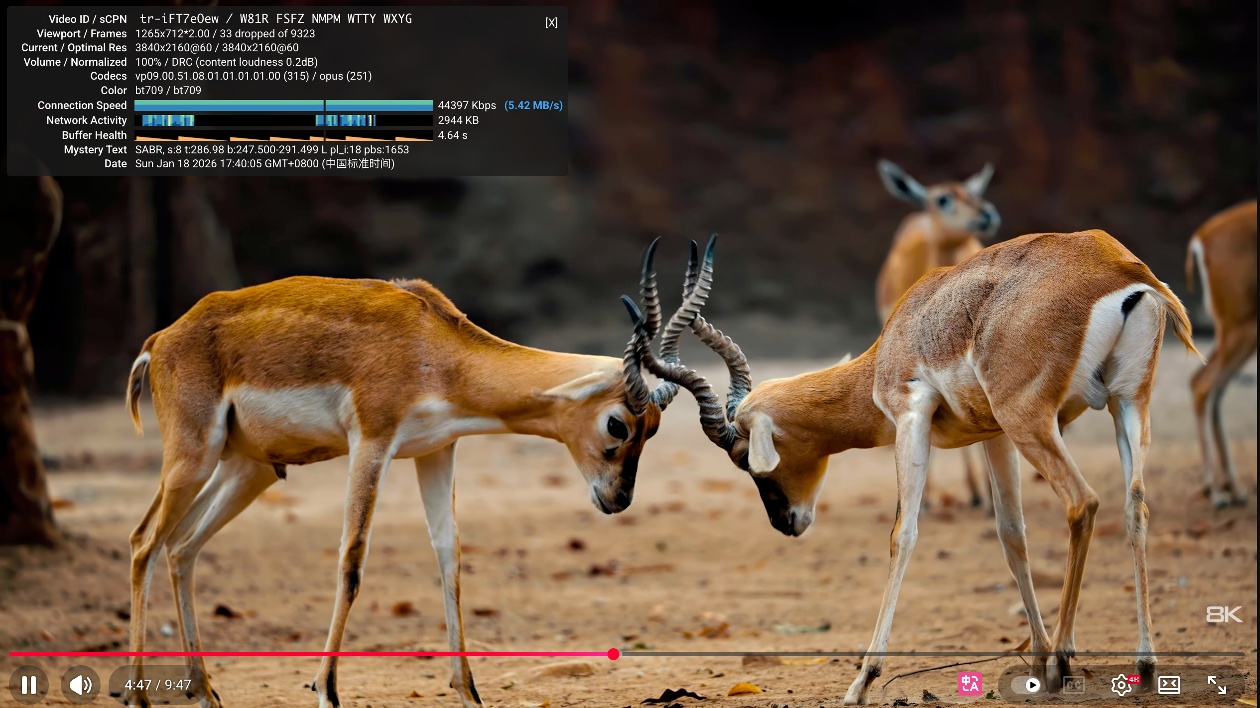 image-20260118174019389