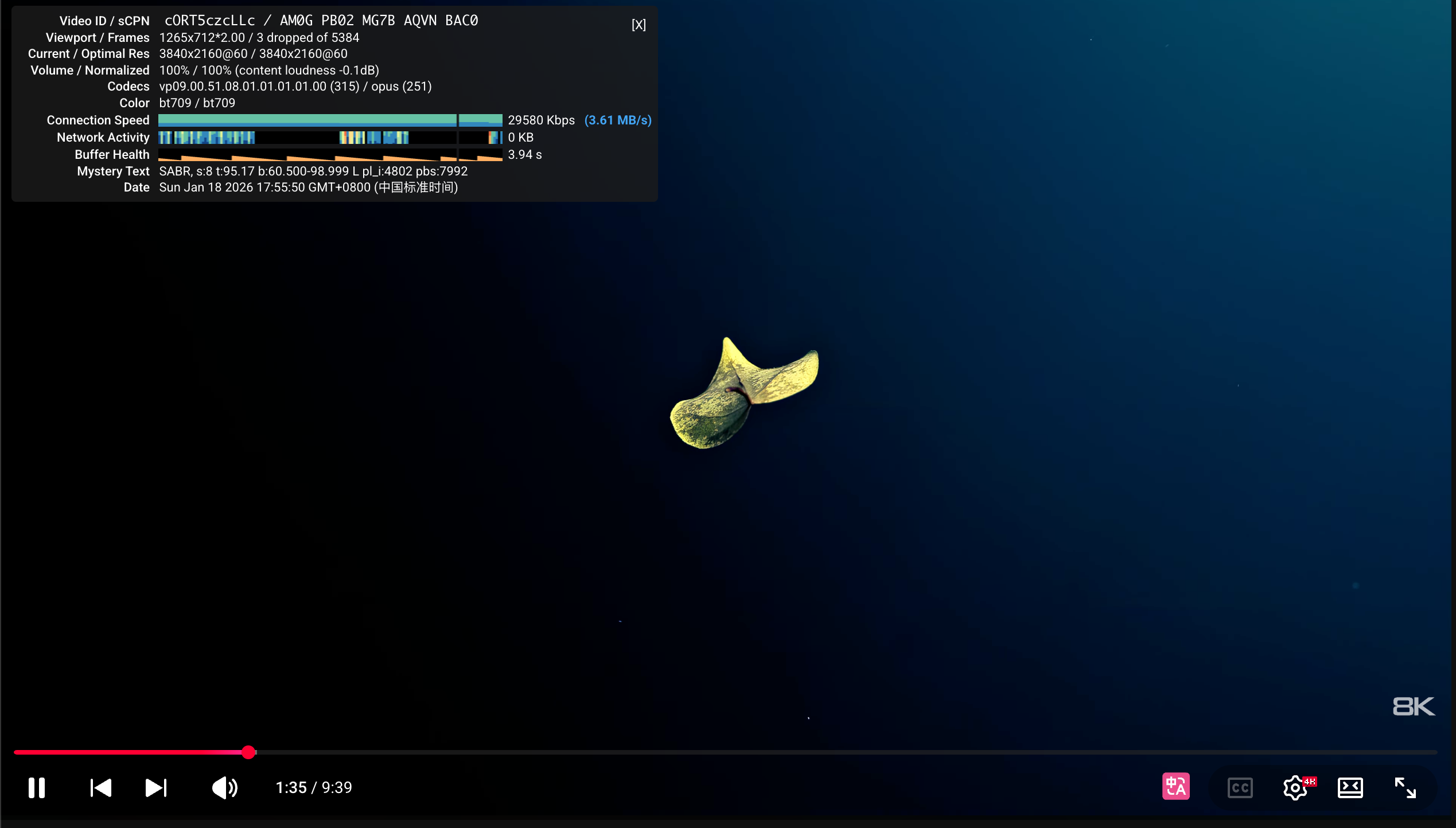 image-20260118175607924