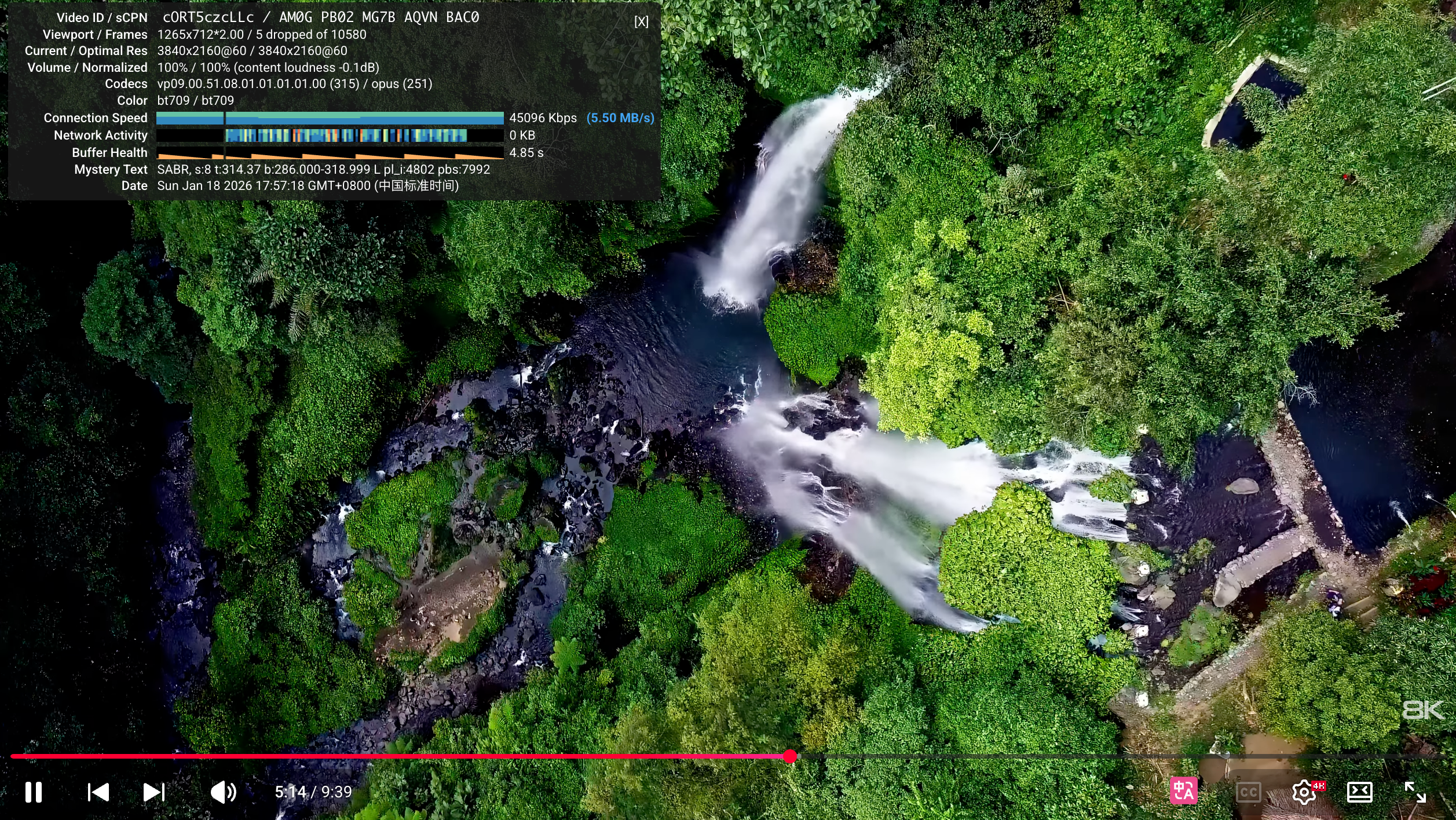 image-20260118175733028