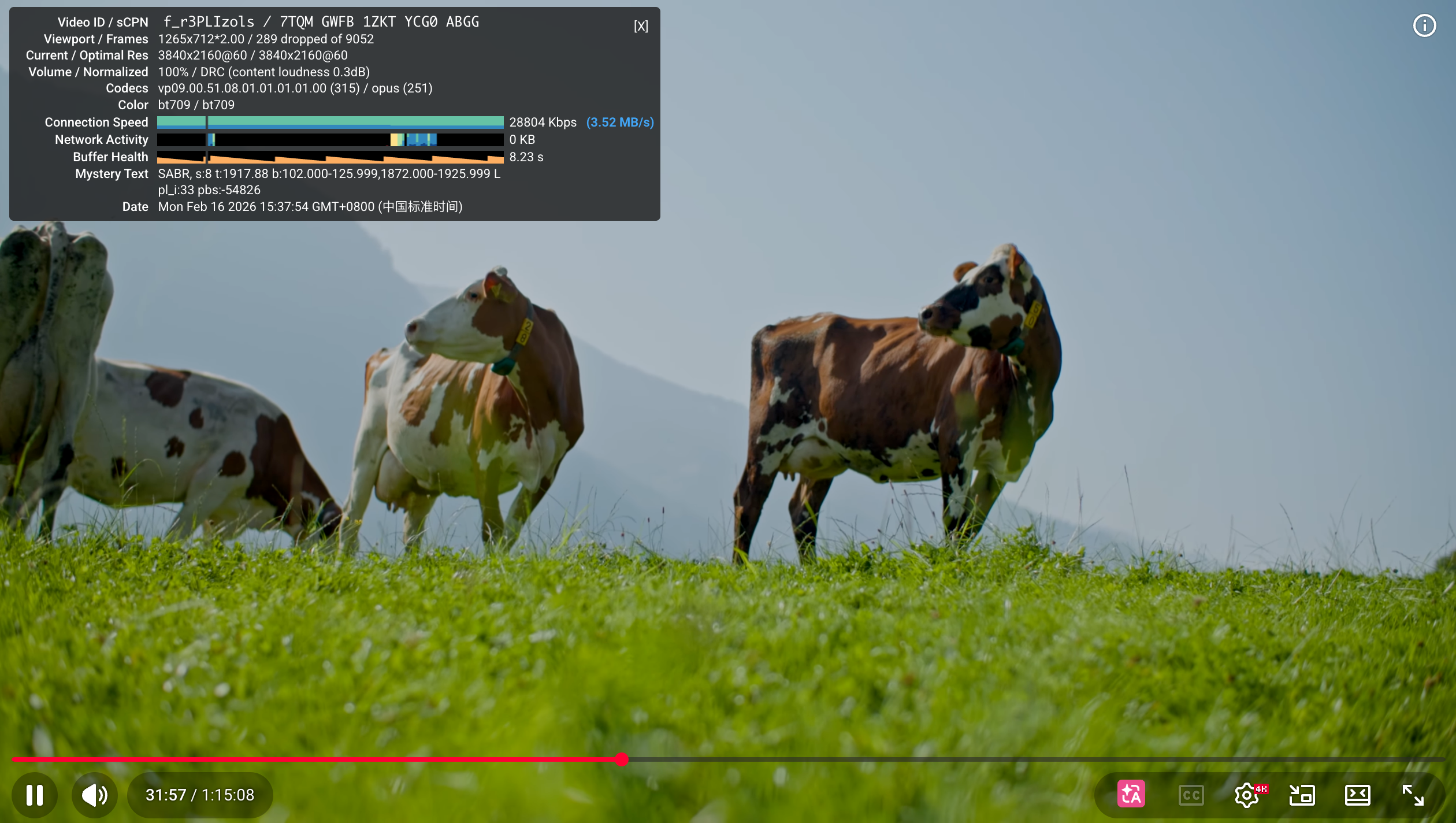 image-20260216153807308