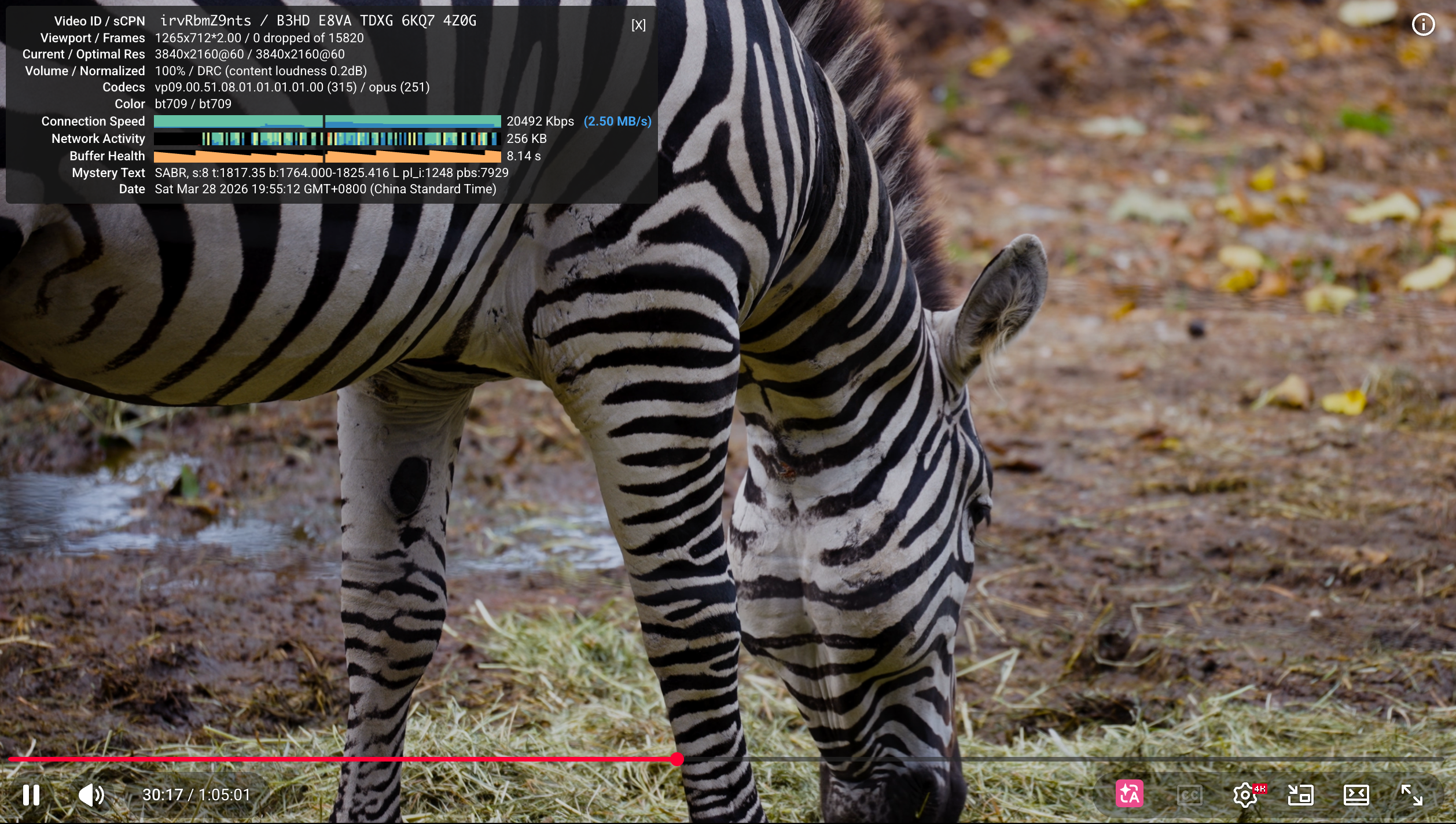 image-20260328195523849