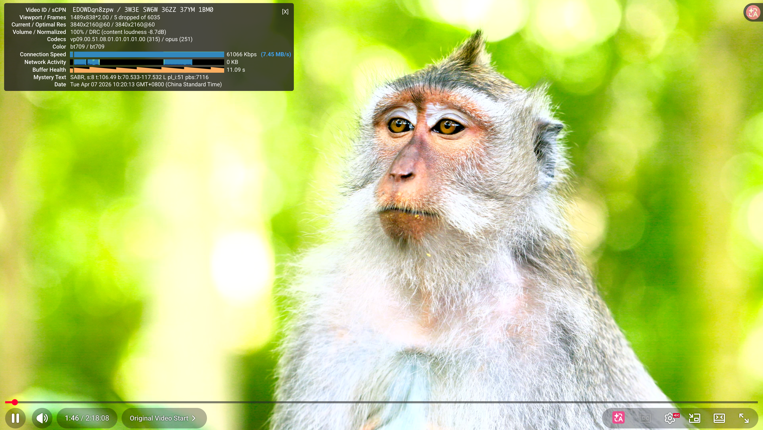 image-20260407102027800