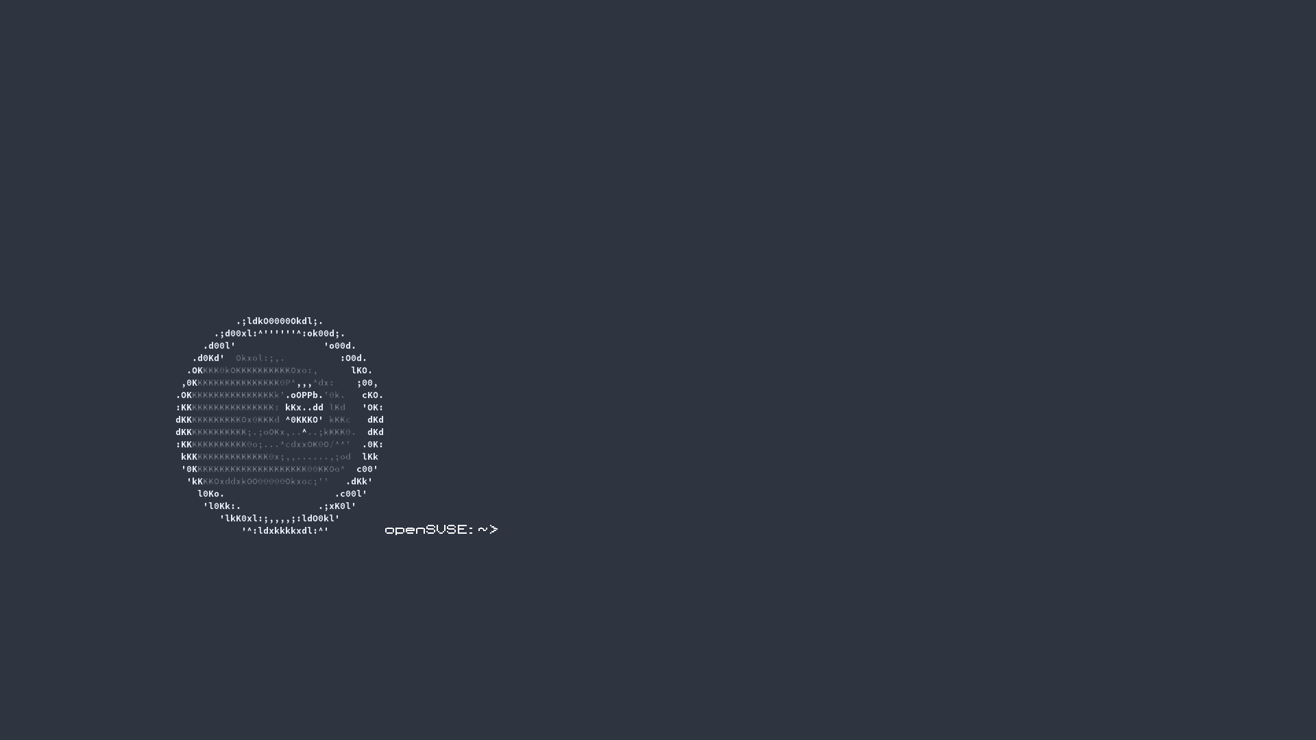 opensuse.png