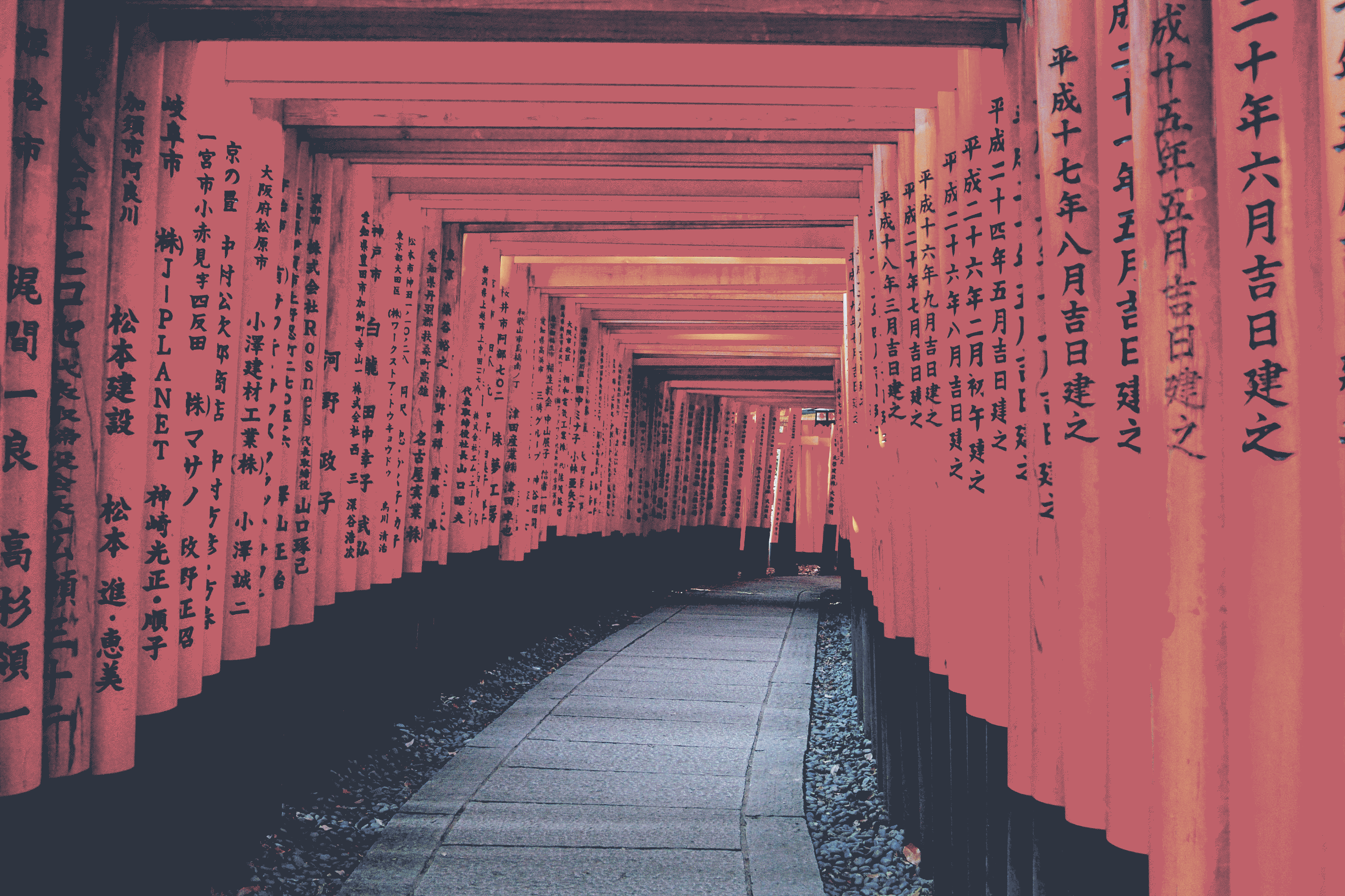 ign_unsplash22.png