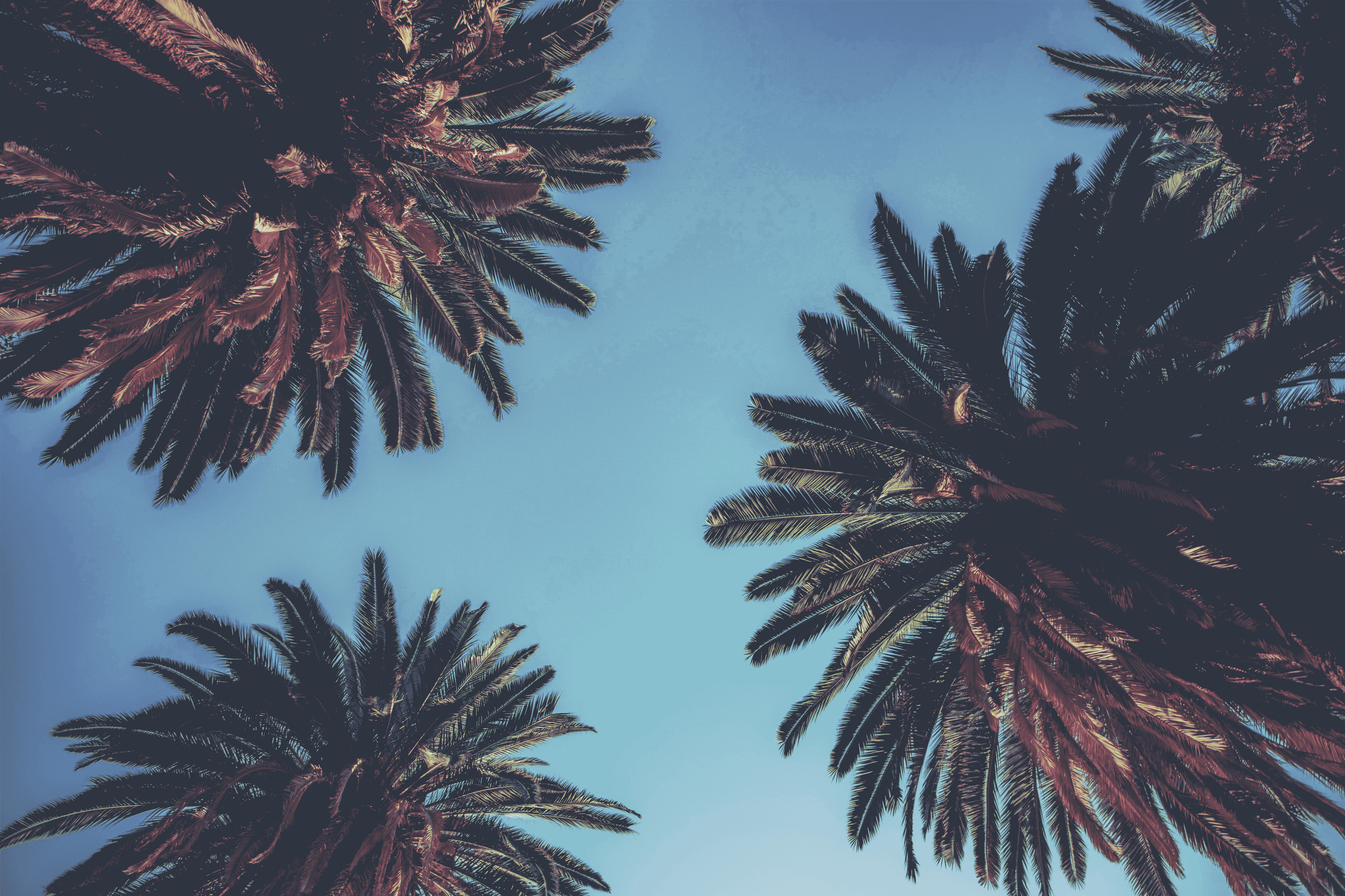 ign_unsplash36.png