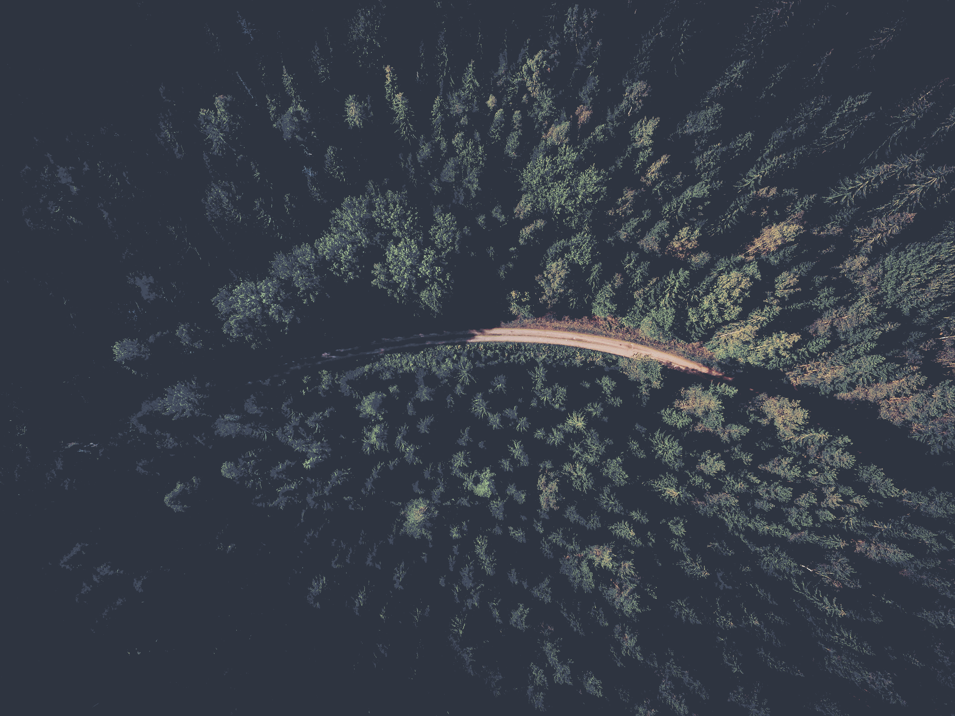 ign_unsplash38.png