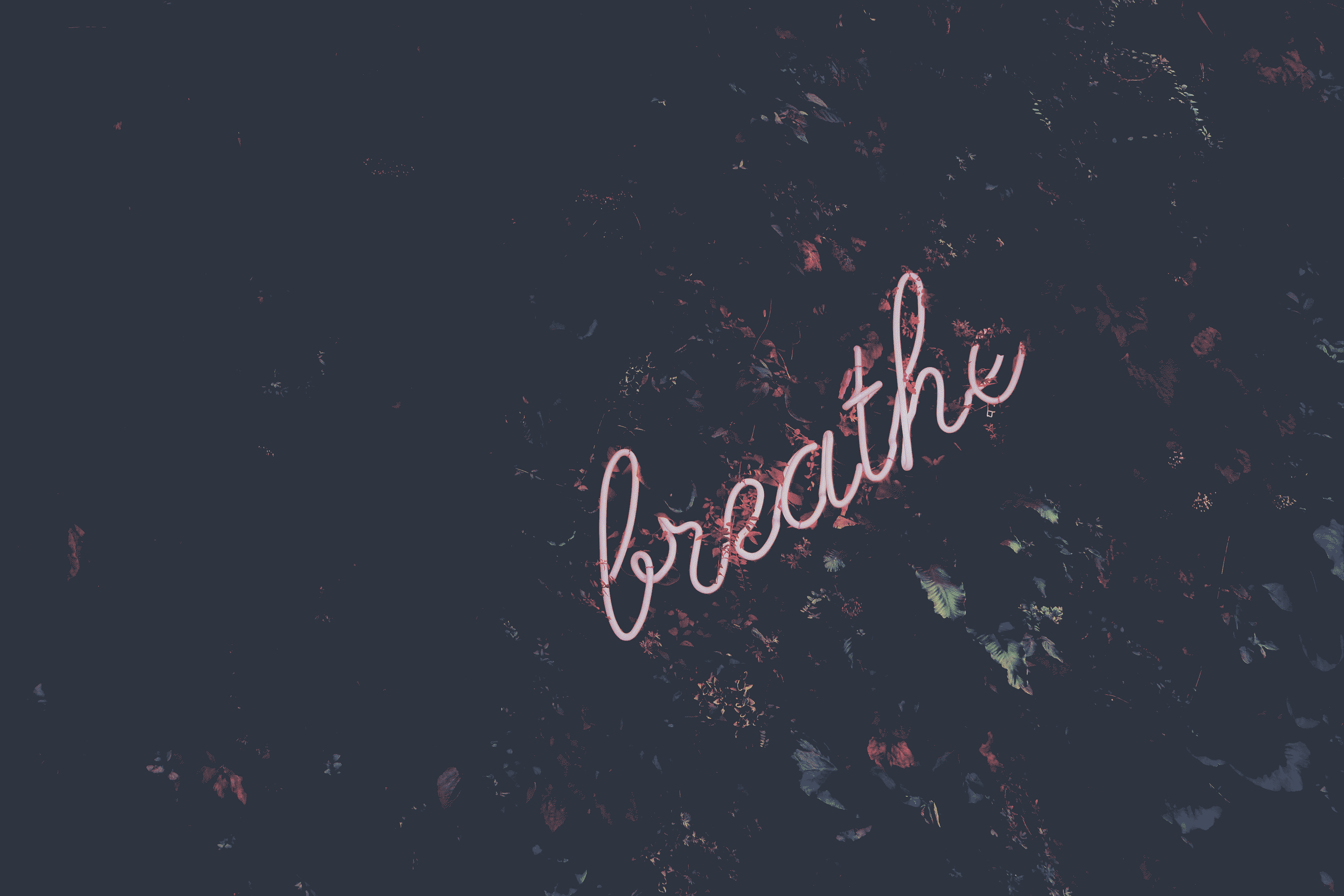 ign_unsplash47.png
