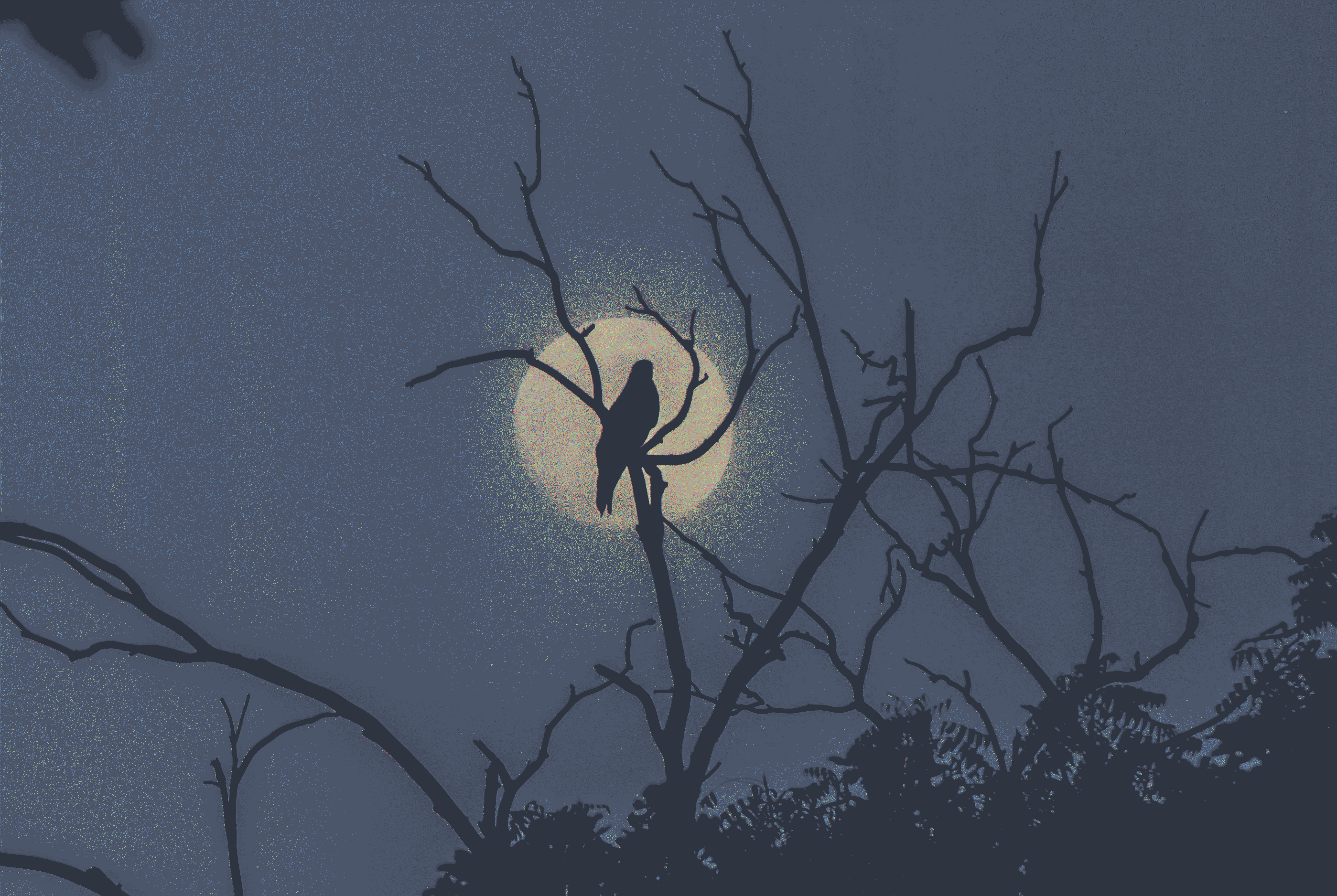 ign_unsplash49.png