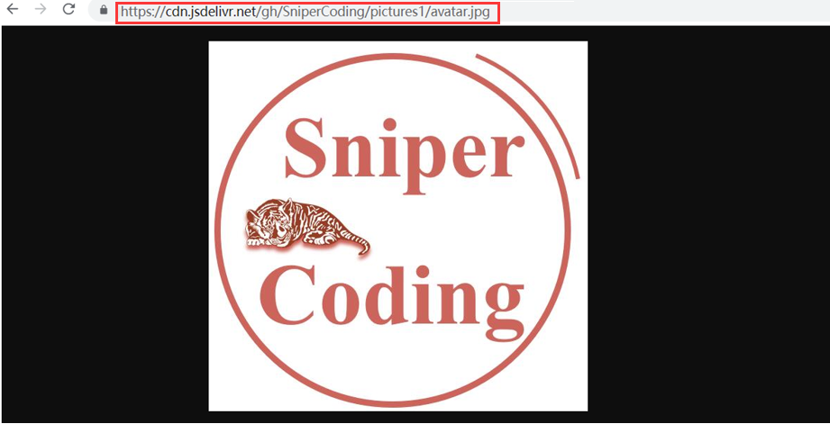 image-20220208210418418