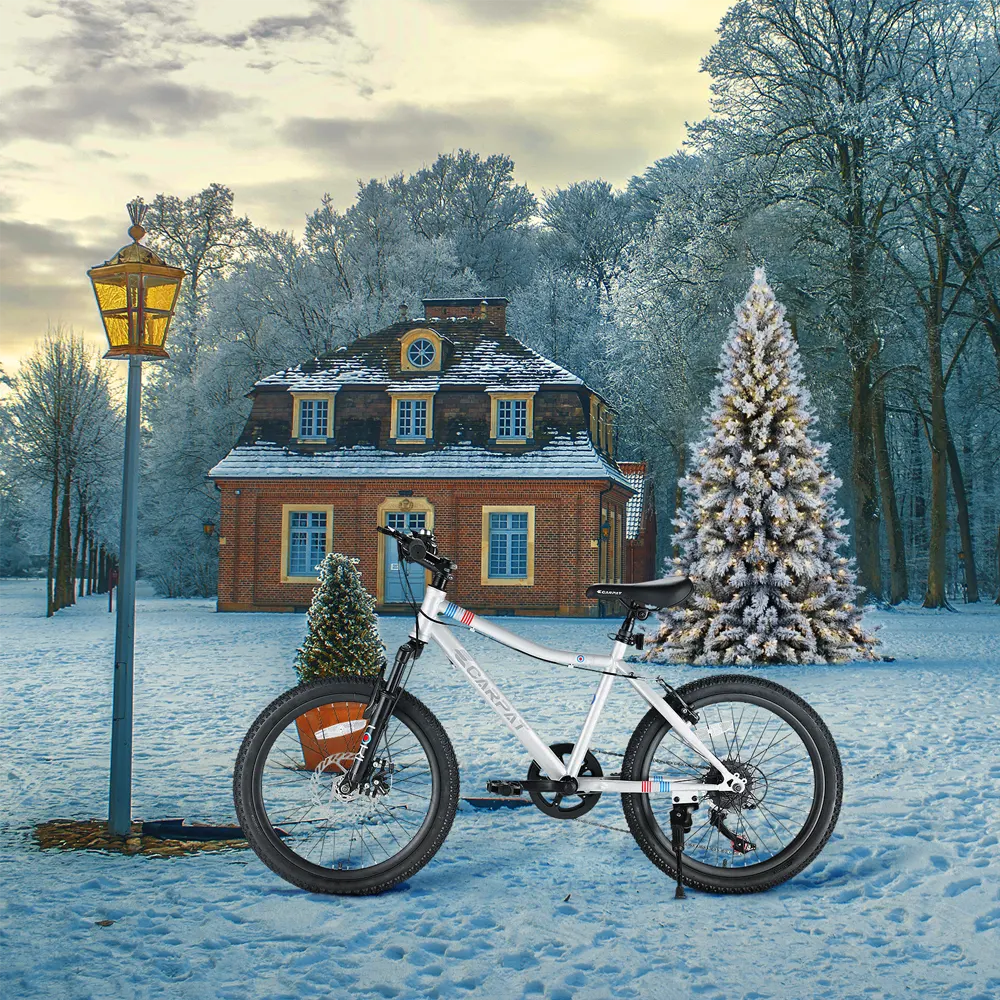 20-Inch 7-Speed Kids Mountain Bike - Image 11