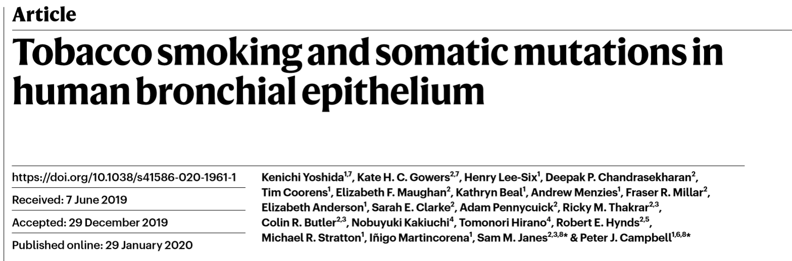 Tobacco smoking and somatic mutations in human bronchial epithelium