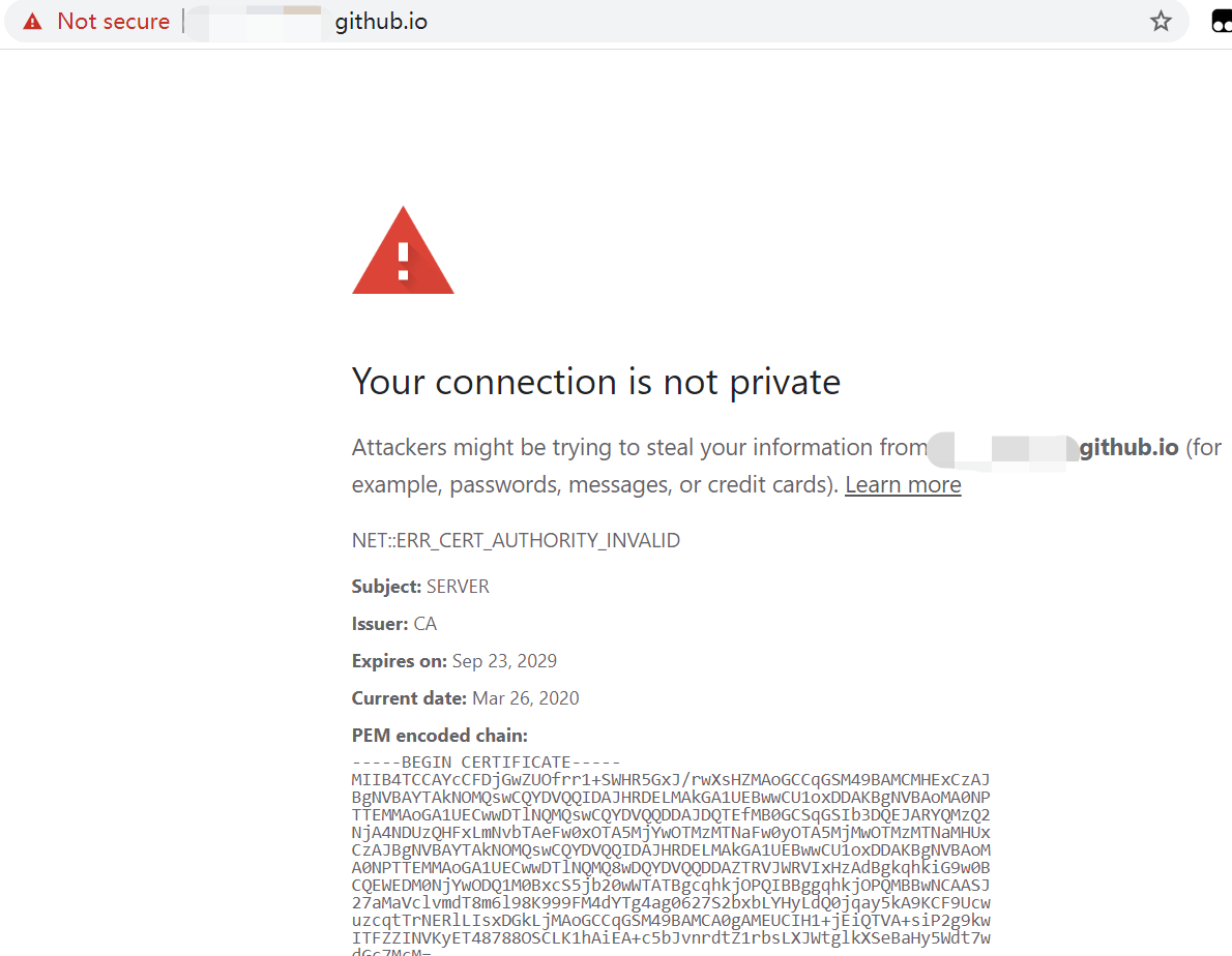 Github page 疑似遭受中间人攻击
