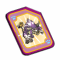carte temporis v