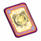 carte temporis v