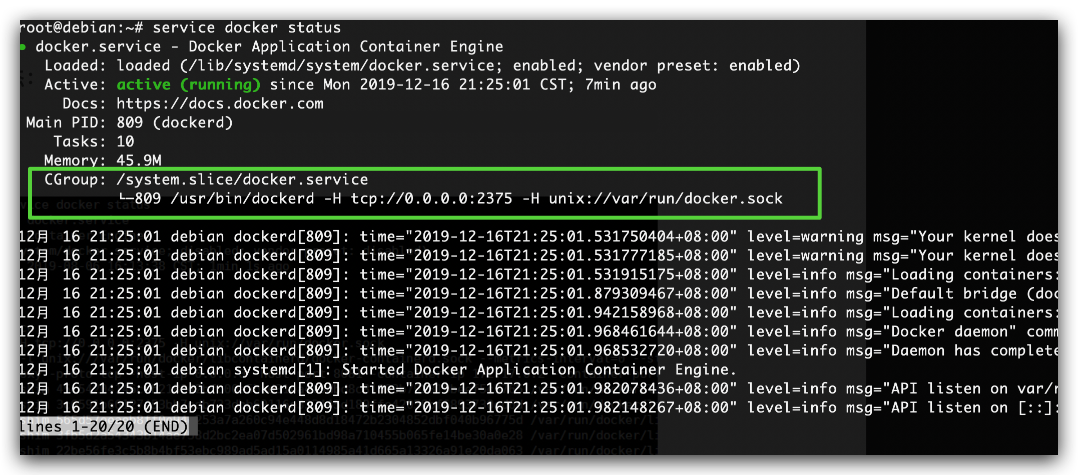 《Linux下开启Docker远程访问服务》