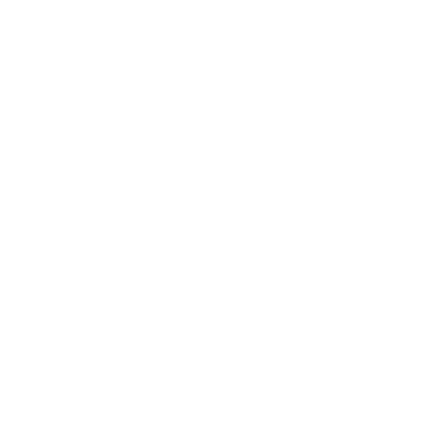 University of Hawaii Logo