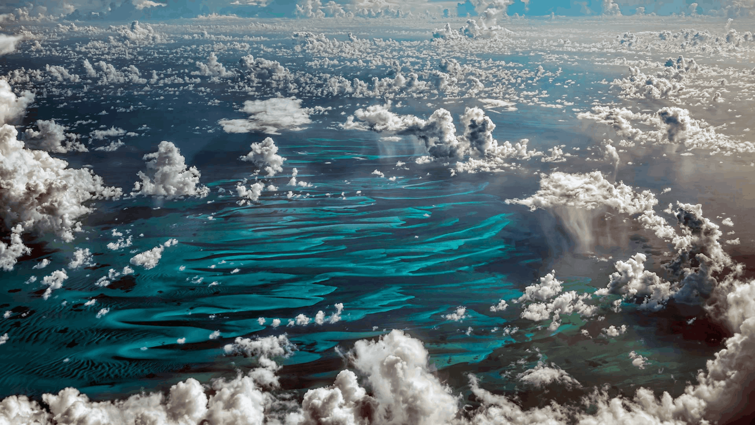 竞赛数字藏品平台项目经验