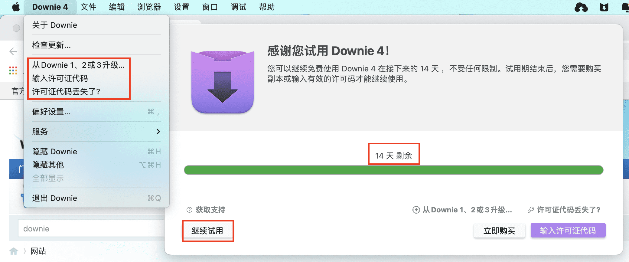 downie-1